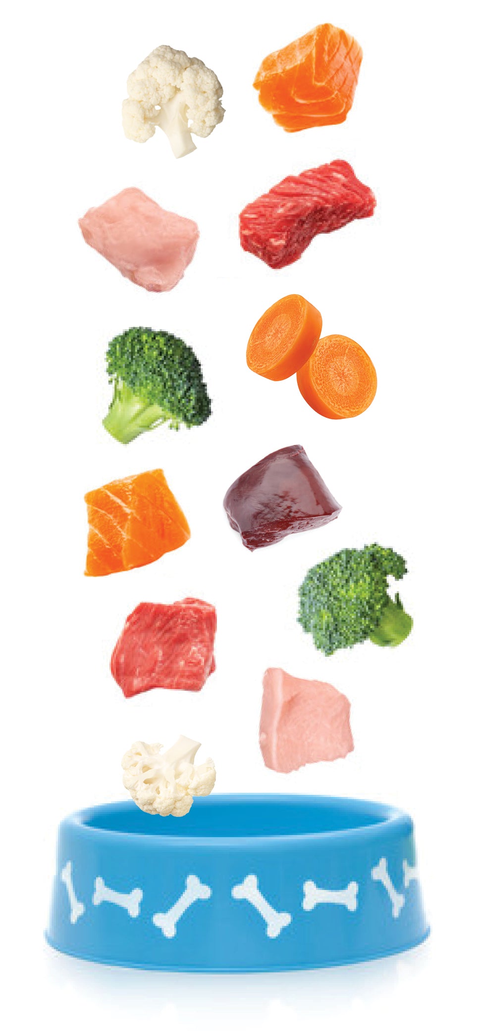 Pet Food Ingredients